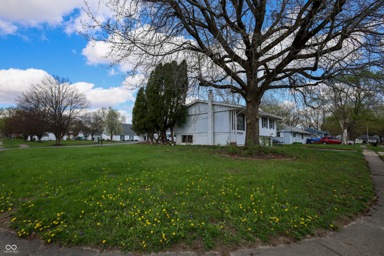 Listing Image 14