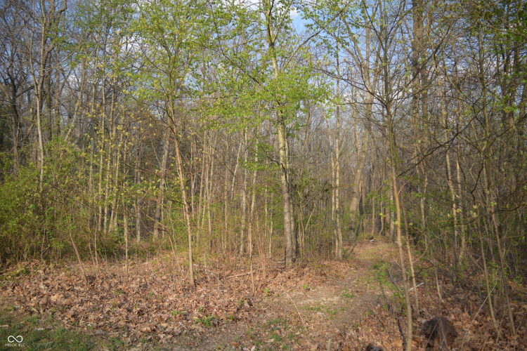 Listing Image 31