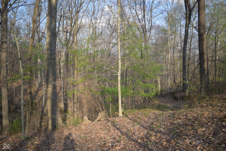 Listing Image 32