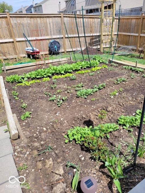 Listing Image 29