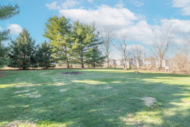 Listing Image 32
