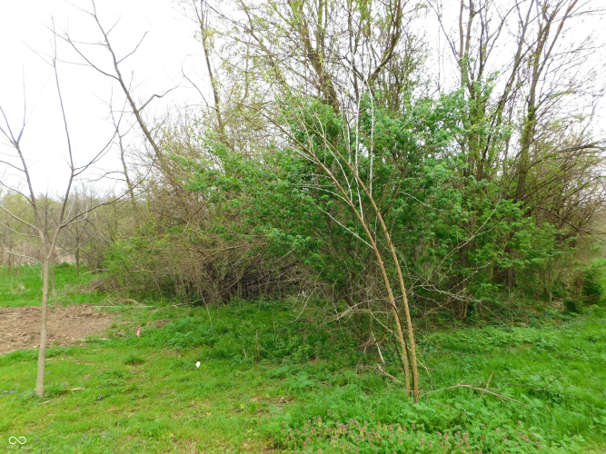Listing Image 55