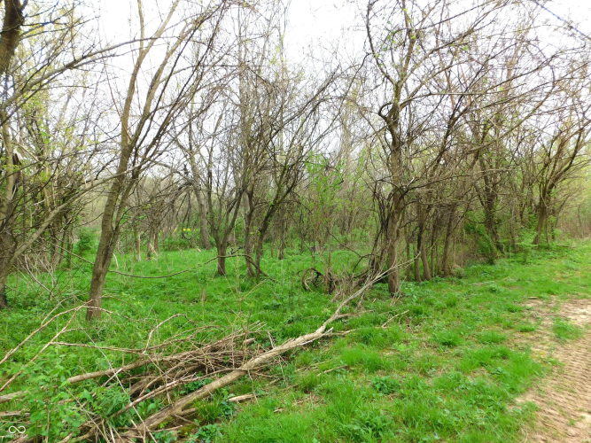 Listing Image 56