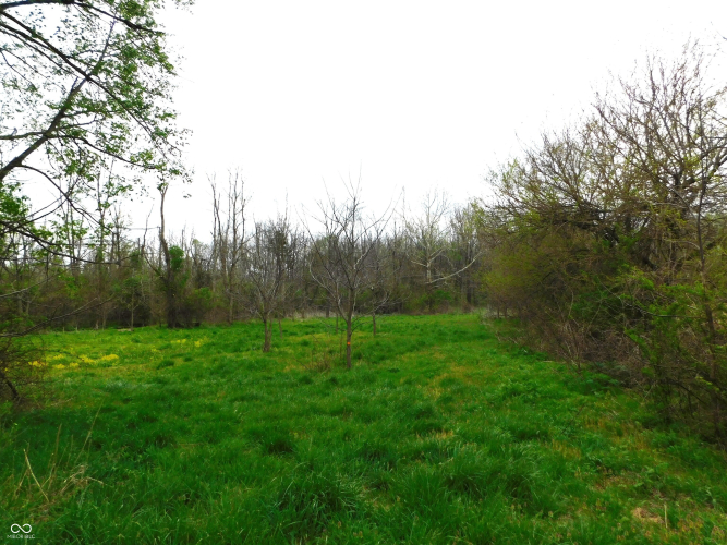 Listing Image 58