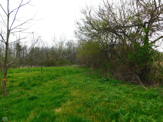 Listing Image 59
