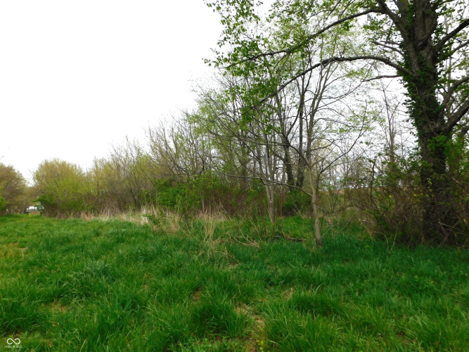 Listing Image 60