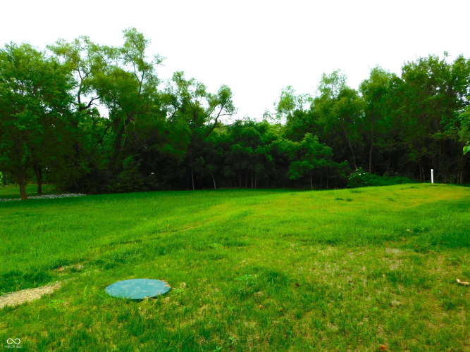 Listing Image 62