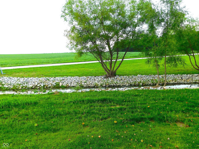 Listing Image 64