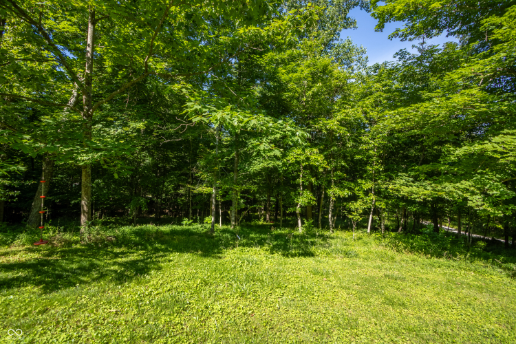 Listing Image 55
