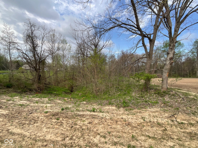 Listing Image 49