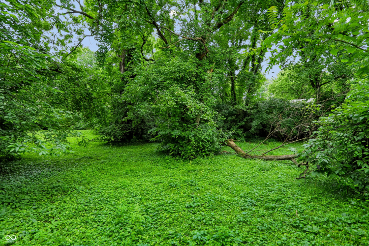 Listing Image 52