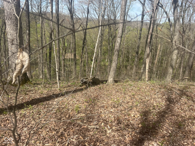 Listing Image 11