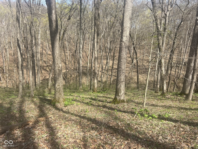 Listing Image 17