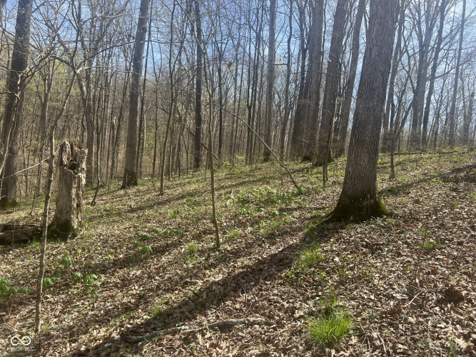 Listing Image 18