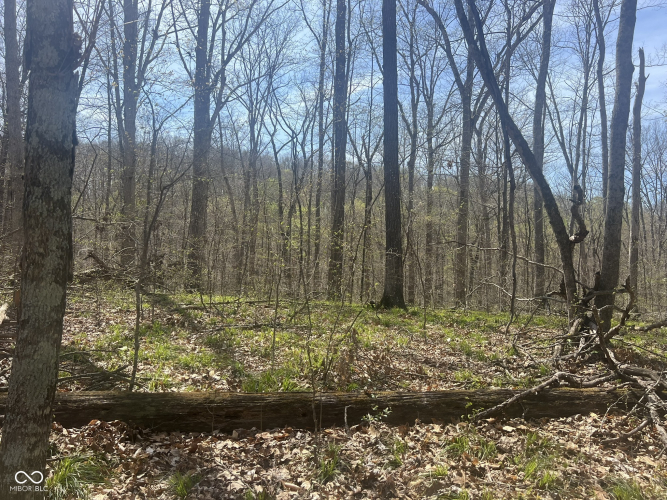 Listing Image 21