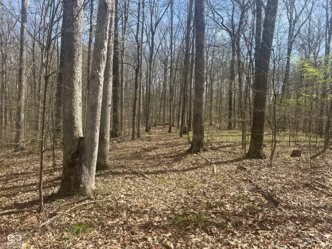 Listing Image 22
