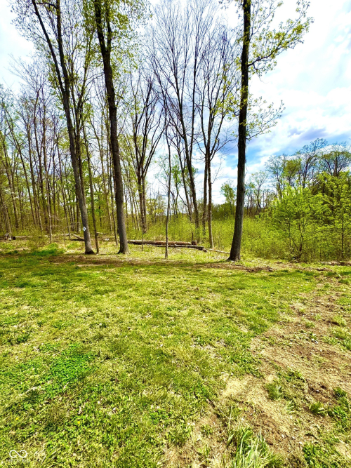 Listing Image 114