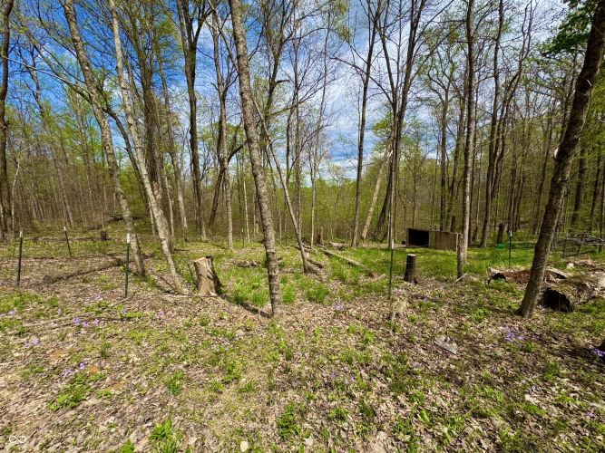 Listing Image 117