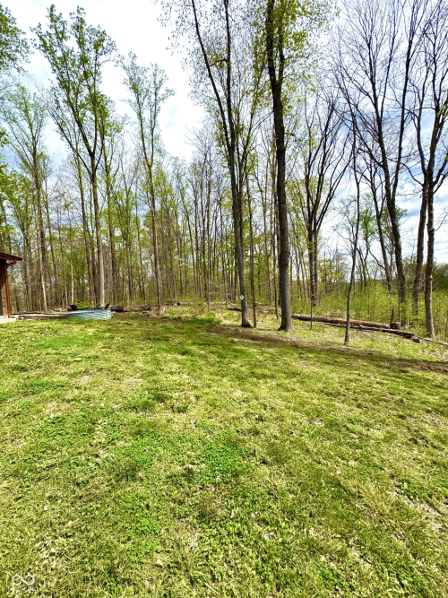 Listing Image 119