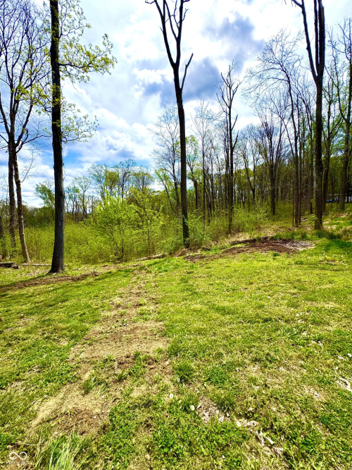 Listing Image 121