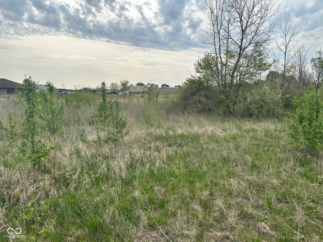 Listing Image 25