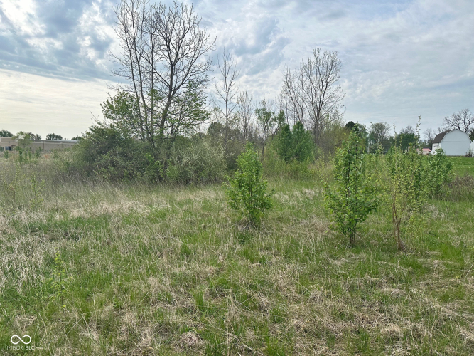 Listing Image 26