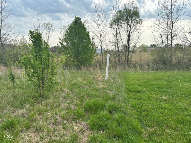 Listing Image 29