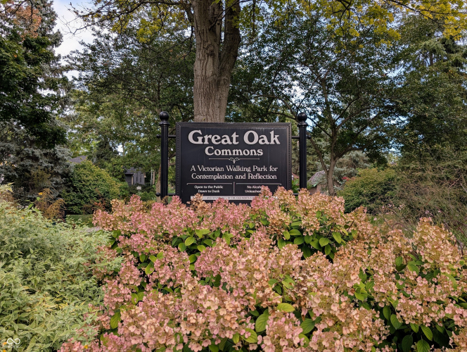 Listing Image 59