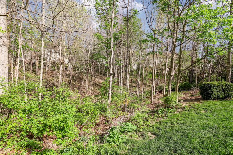Listing Image 65