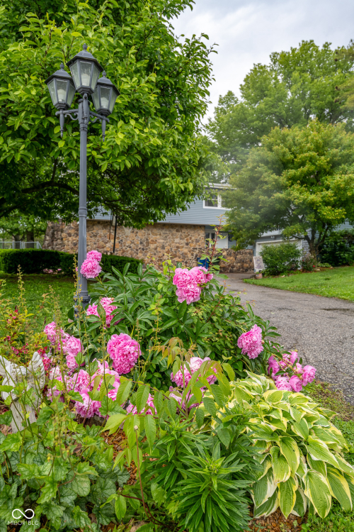 Listing Image 54