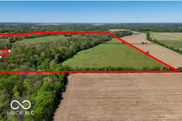 Listing Image 13
