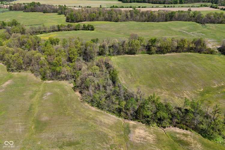 Listing Image 29