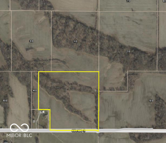 Listing Image 4