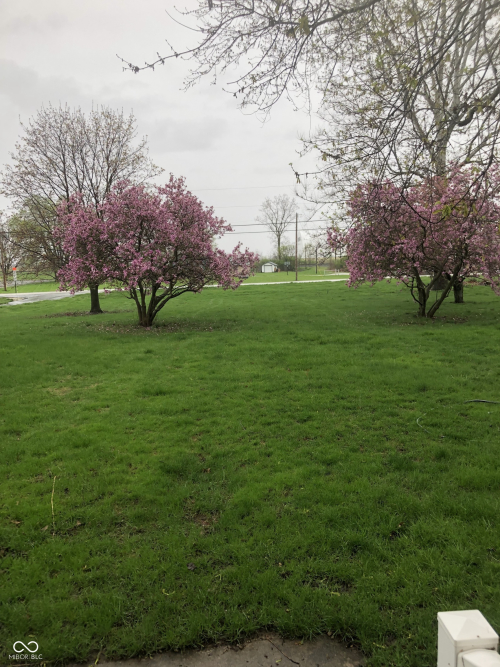 Listing Image 58