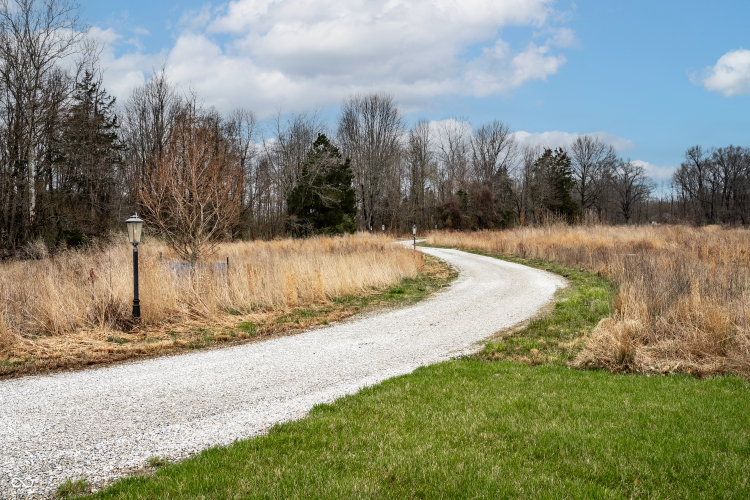 Listing Image 72