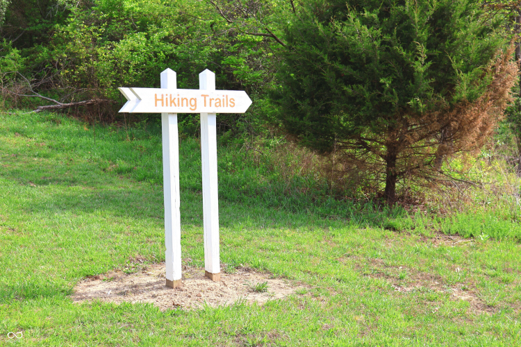 Listing Image 41