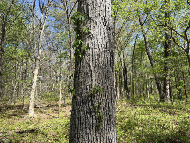 Listing Image 33