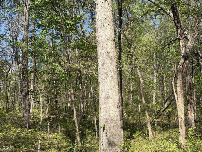 Listing Image 34