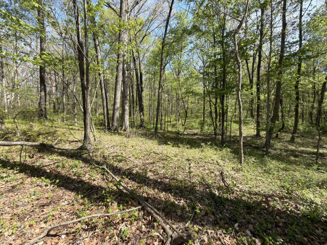 Listing Image 36