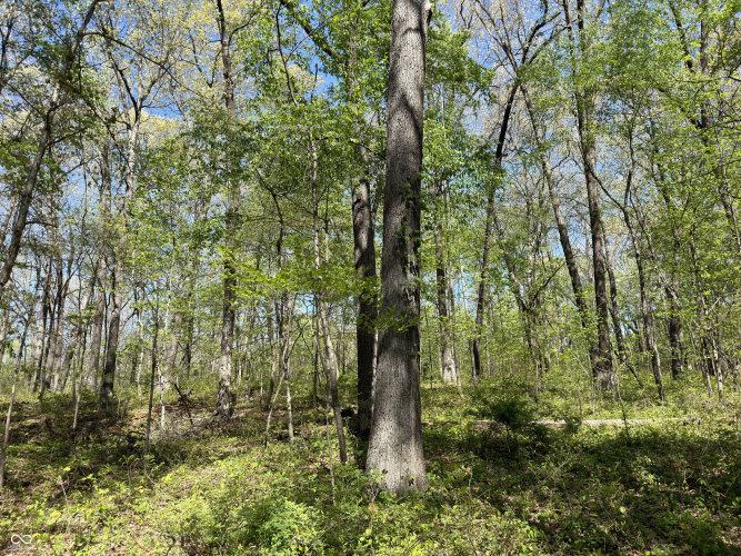 Listing Image 41