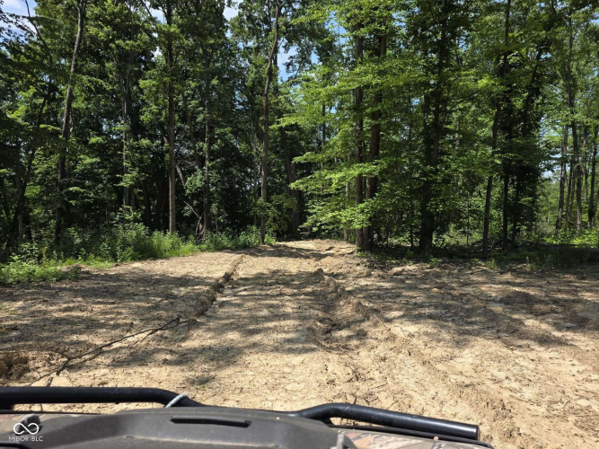 Listing Image 11
