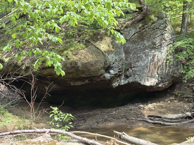 Listing Image 17