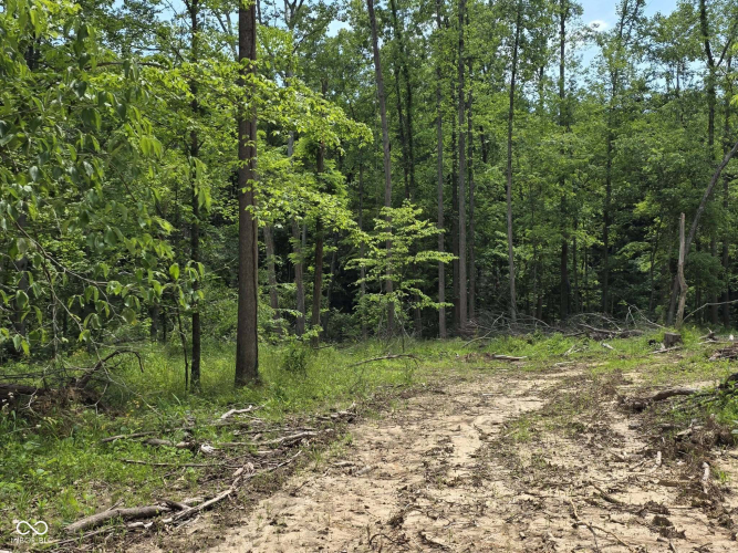 Listing Image 18