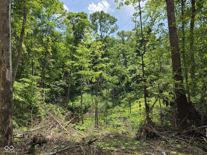 Listing Image 24