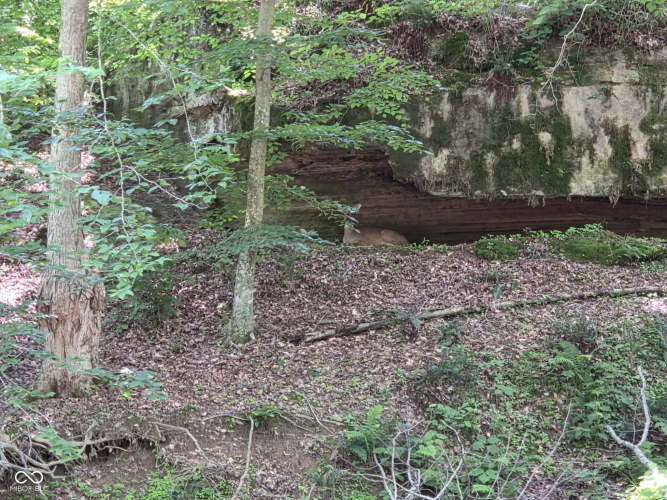 Listing Image 28