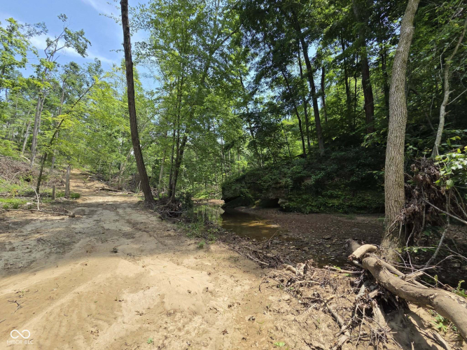 Listing Image 29