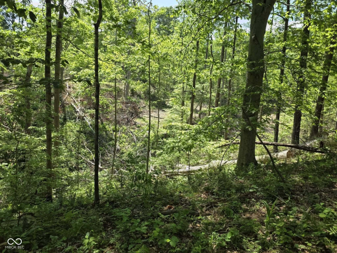 Listing Image 32