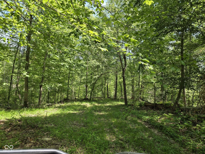 Listing Image 34
