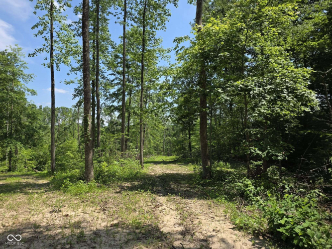 Listing Image 36