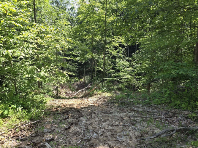 Listing Image 37